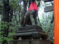 Kyoto : Inari